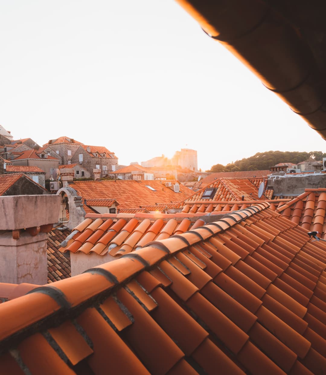 Ultimate Buying Guide